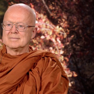 Thanissaro Bhikkhu : REDI