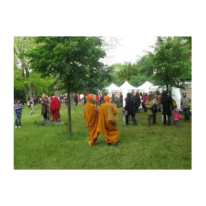 Fête du bouddhisme 2009